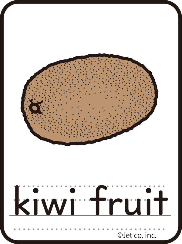 kiwi fruit（キウイフルーツ）